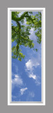 Ceiling Mural 8cb_2x6_r26