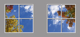 Ceiling Design 8fe_2-4x4md