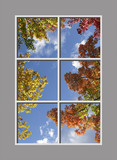 Ceiling Design 8fe_4x6md