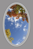 Ceiling Mural 8fe_5x8ftel_AP58