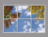 Ceiling Mural 8fe_6x4md