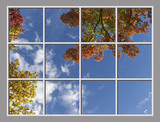 Ceiling Design 8fe_8x6md02