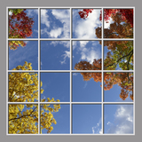 Ceiling Design 8fe_8x8cr