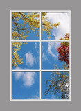 Ceiling Design 8jnF_4x6md