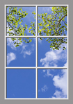 Ceiling Design CST0490_01
