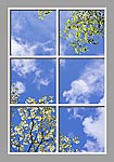 Ceiling Design CST05032_03