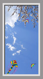 Ceiling Design CST05144_01