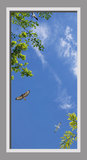 Ceiling Design CST05144_01e