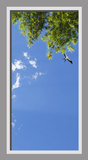 Ceiling Design CST05144_02