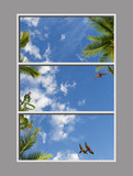 Ceiling Design KF-6um_4x6md