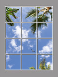 Ceiling Design kf-6el_6x8md