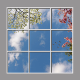 Ceiling Mural kf-6vu_6x6md