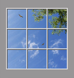 Ceiling Mural kf-6wd_6x6md