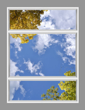 Ceiling Mural kf-8eq_6x8_r2646