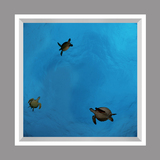 Ceiling Design kf-se-df060_4x4md_r44 podle David Fleetham