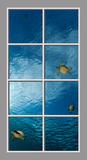 Ceiling Mural se-dfM10628_4x8md podle David Fleetham