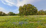 Photo Mural se-hd0735KH podle Henry Domke