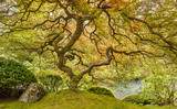 Photo Mural se-hd1026K podle Henry Domke