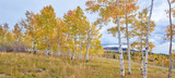 Photo Mural se-hd1355KP podle Henry Domke