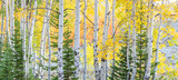 Photo Mural se-hd1394K podle Henry Domke