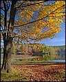 Photo Mural se-mh676-12 podle Marty Hulsebos