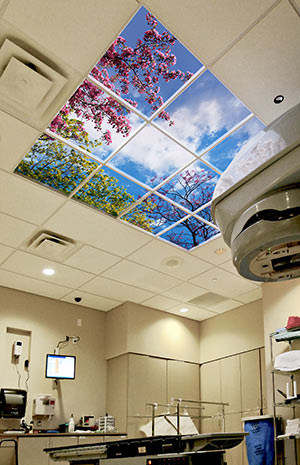 The Cancer Center at NFRMC